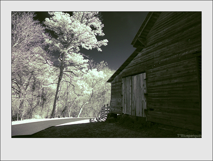 DSC_8770-ir.jpg