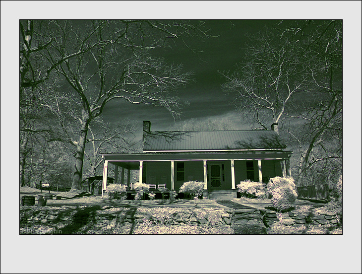 DSC_8812-ir.jpg