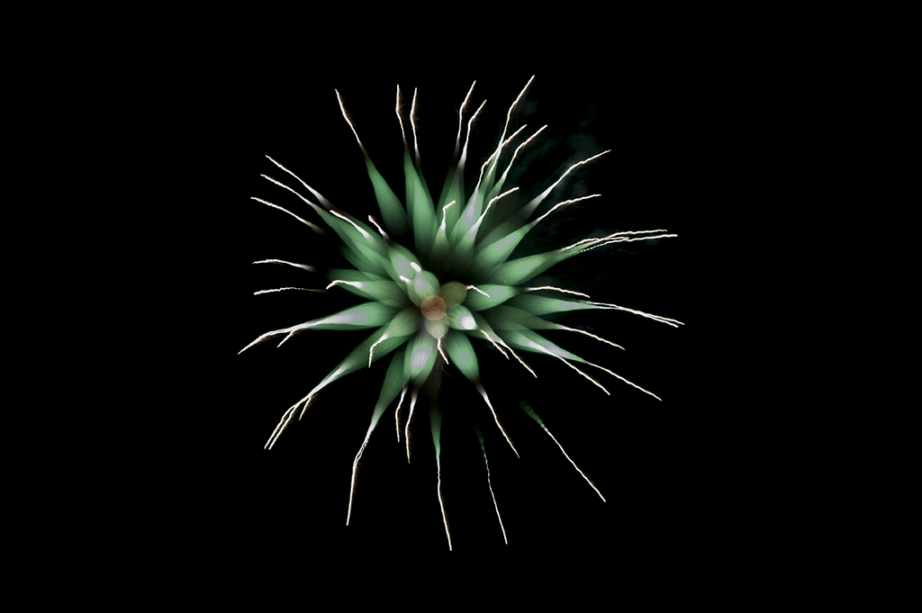 Houston Fireworks (2-1024).jpg