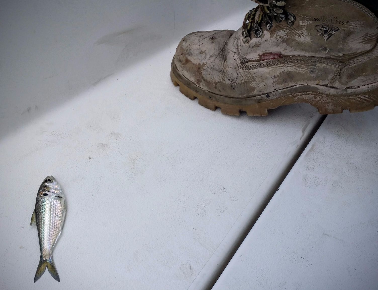 20160416_102307 (1).jpg