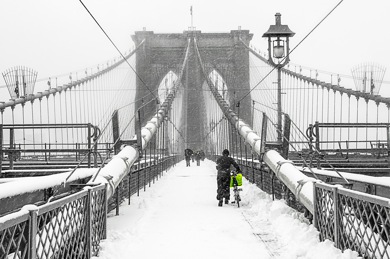 _DSC7242_3445 copy.jpg