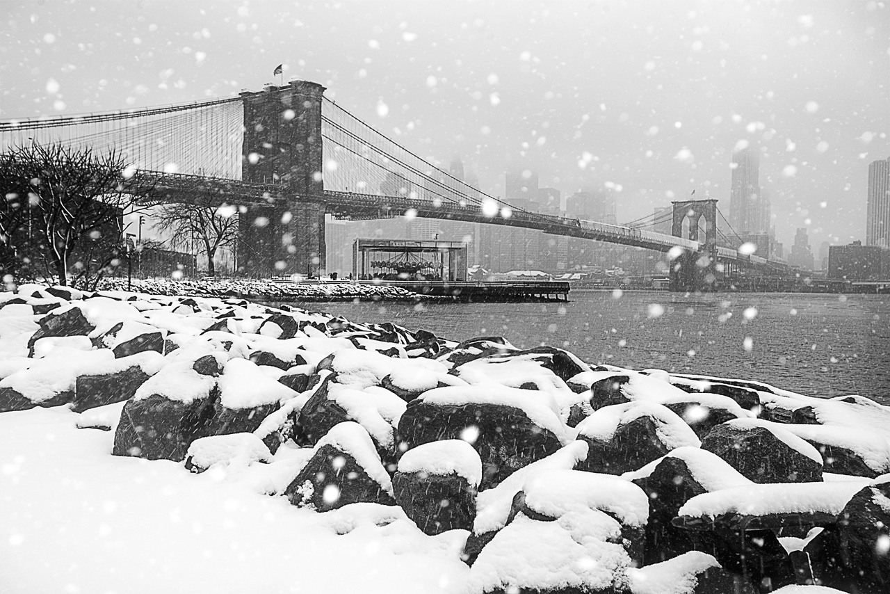 _DSC7296_3499 copy.jpg