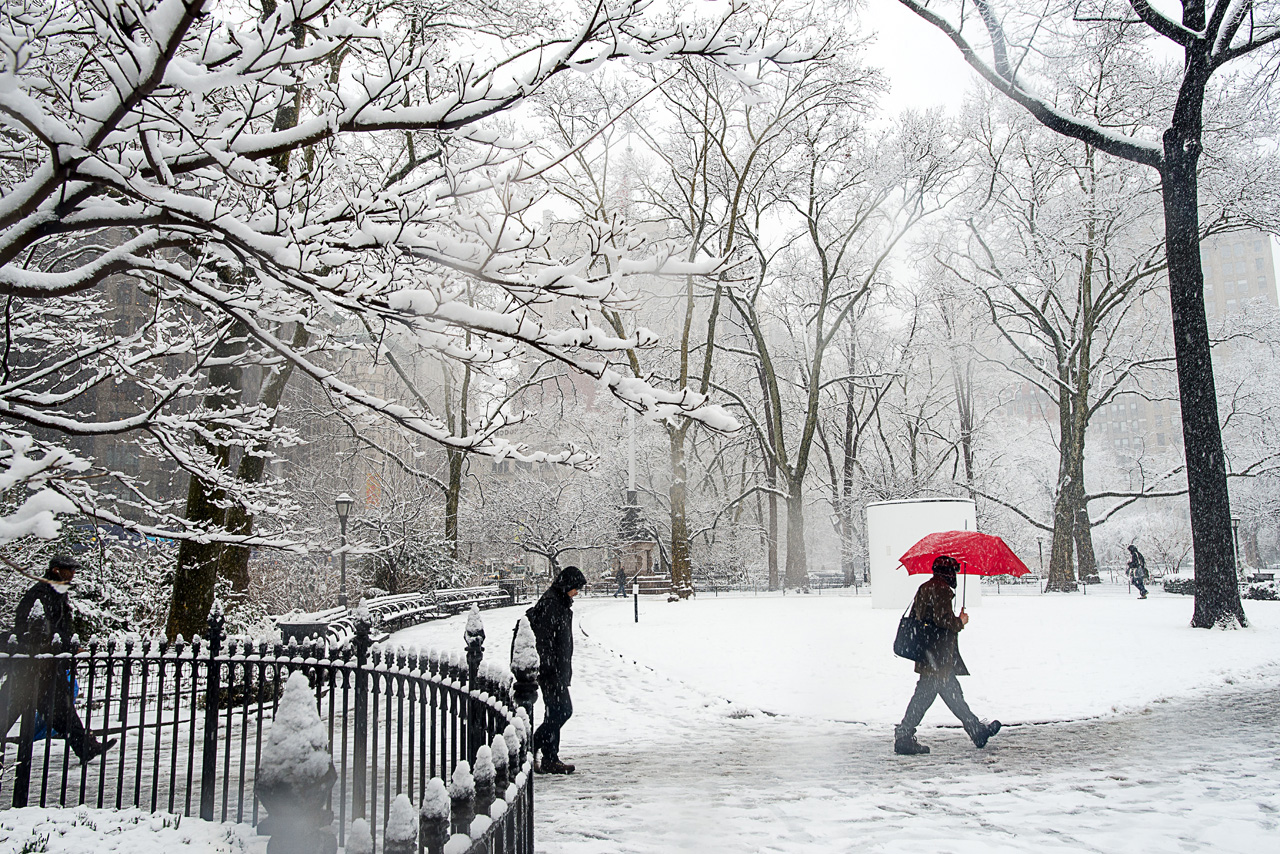 _DSC7132_3338 copy.jpg