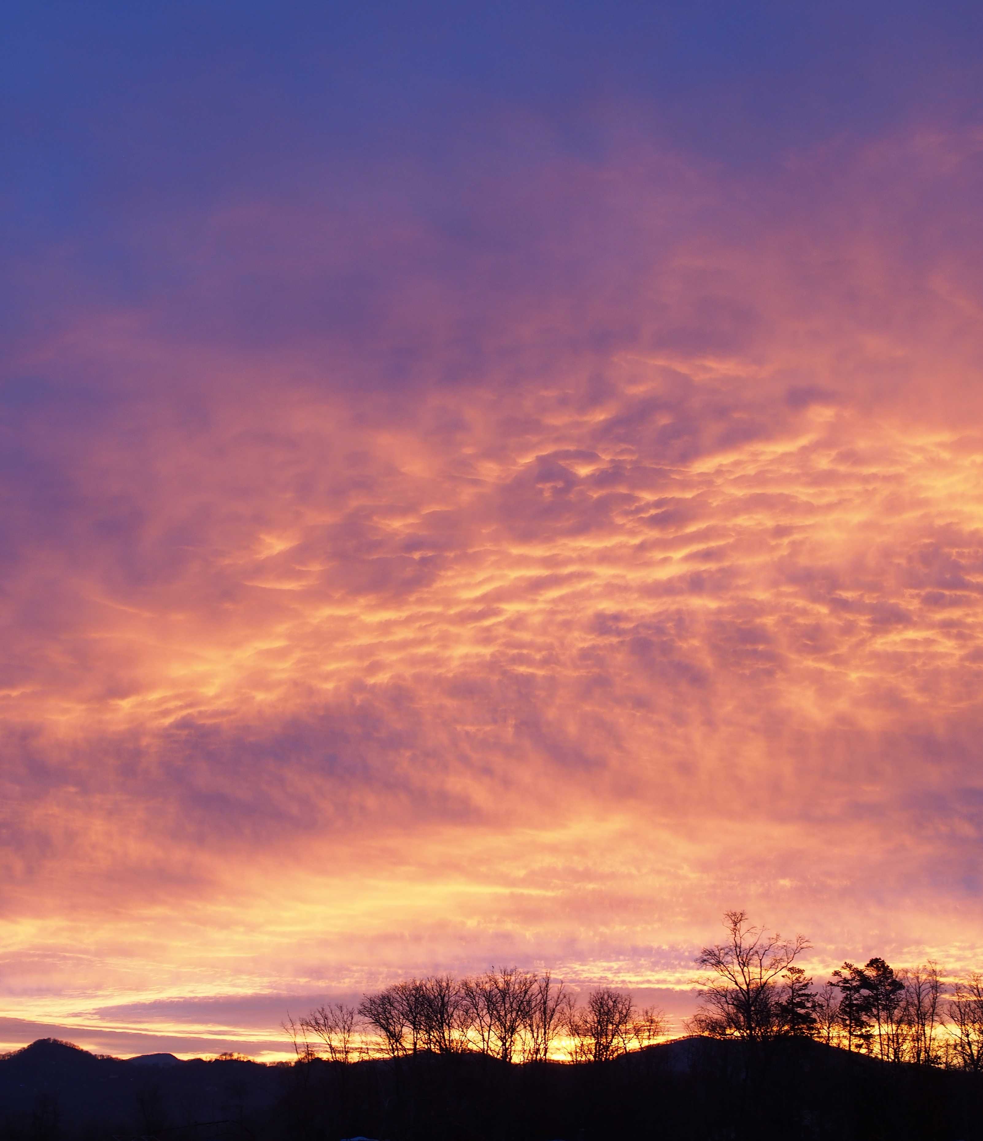 phototrip 1-25-14.e10.jpg