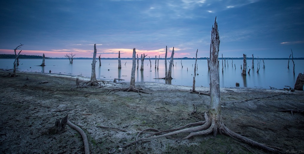 IMG_4768-2 - Copy.JPG