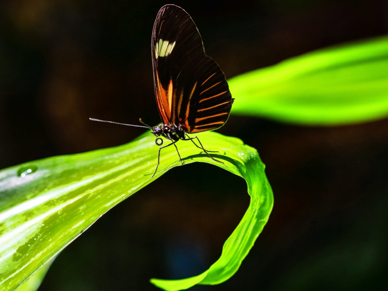 DSC00441 복사본.jpg