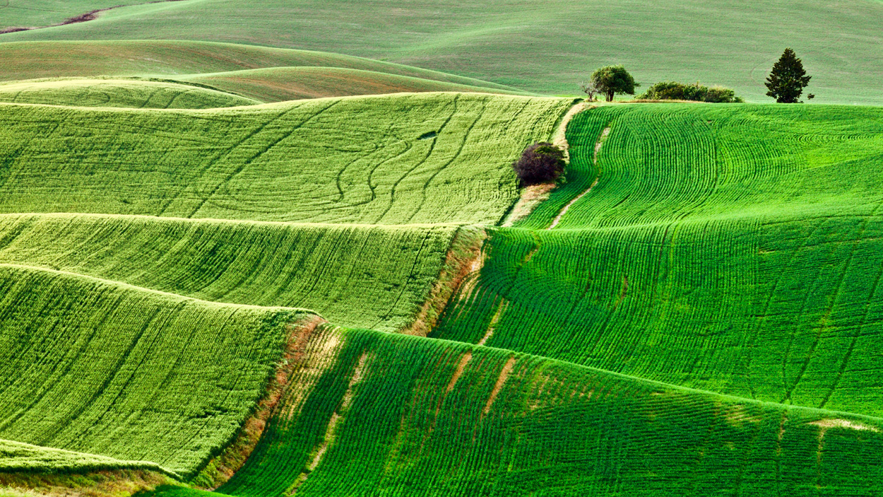 palouse002.jpg