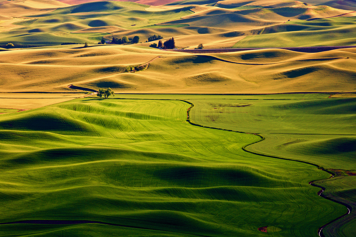 palouse001.jpg