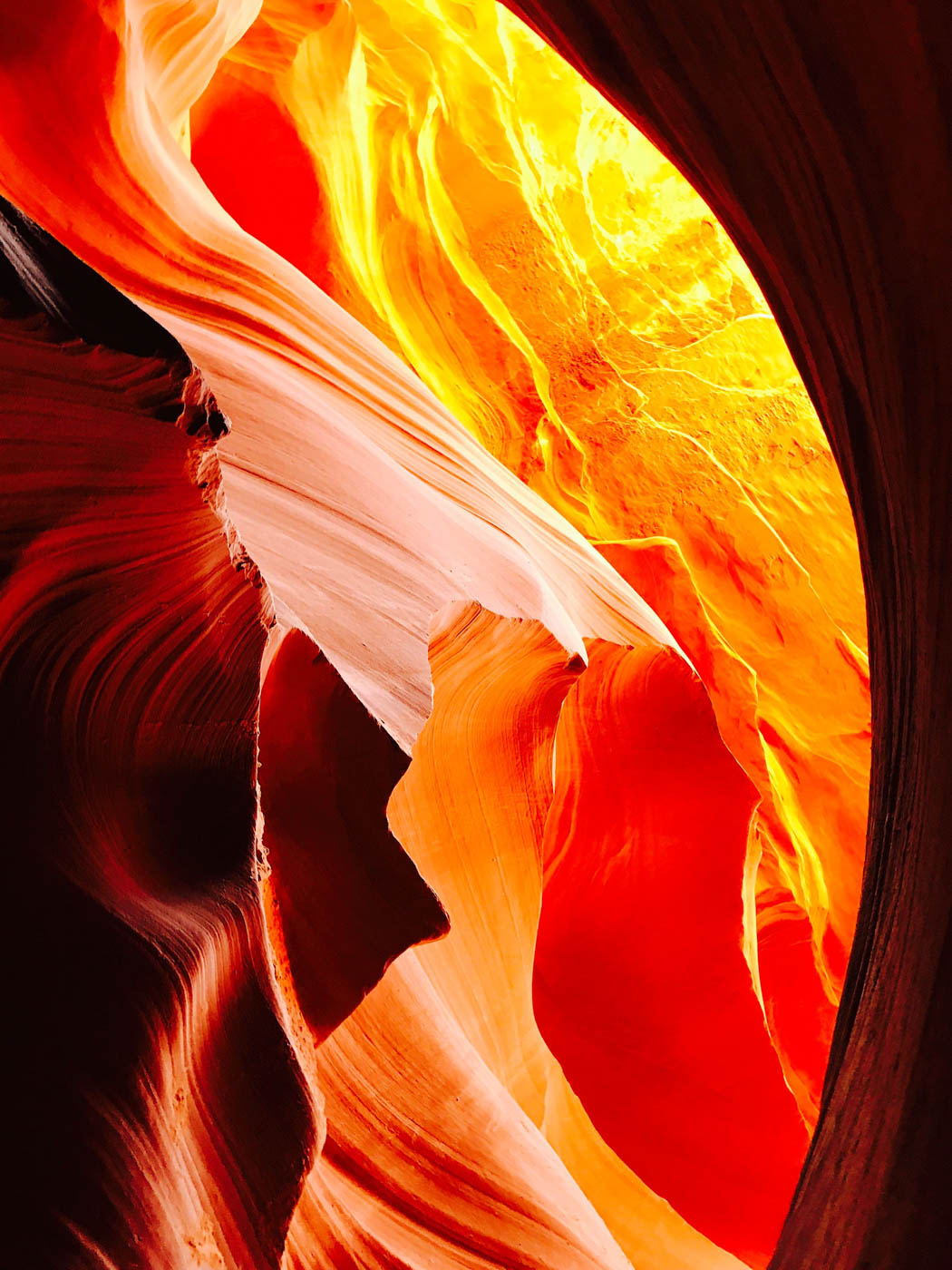 FullSizeRender 5-Edit.jpg