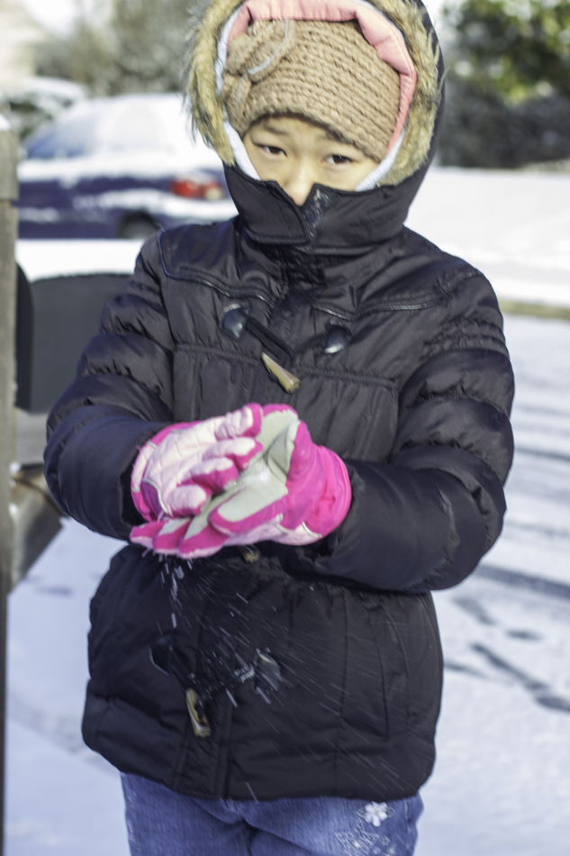 the morning after snowed-6867.jpg