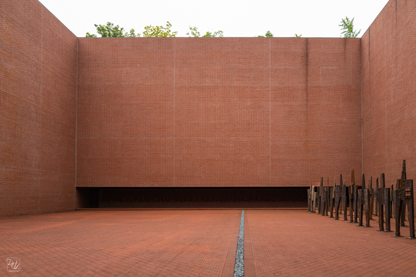 L1024534-향상됨-노이즈 감소-편집.jpg