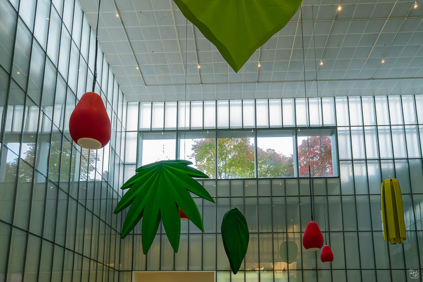 L1025733-향상됨-노이즈 감소-편집.jpg