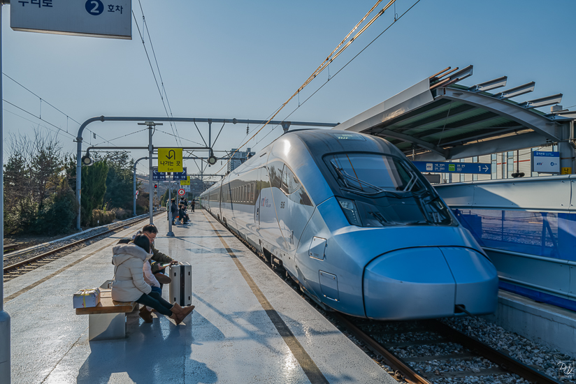 L1025755-향상됨-노이즈 감소-편집.jpg