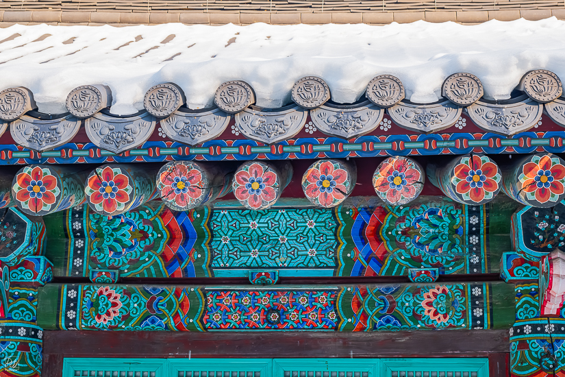 DSCF4452-향상됨-노이즈 감소-편집.jpg