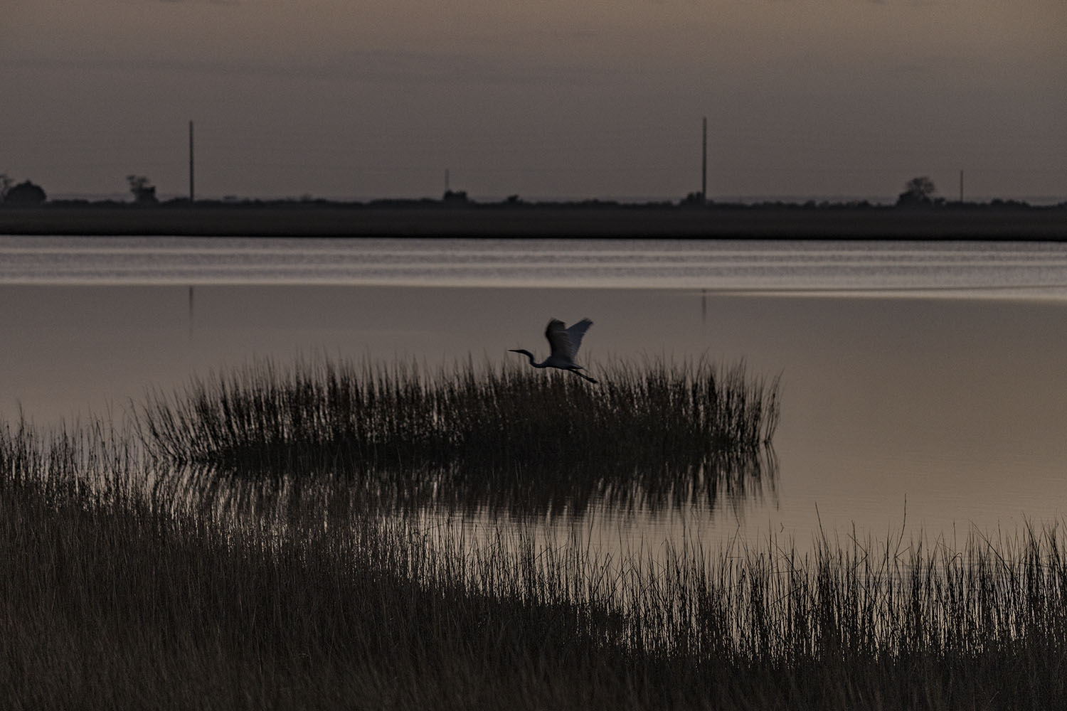 _S2A1721-Edit copy 2.jpg