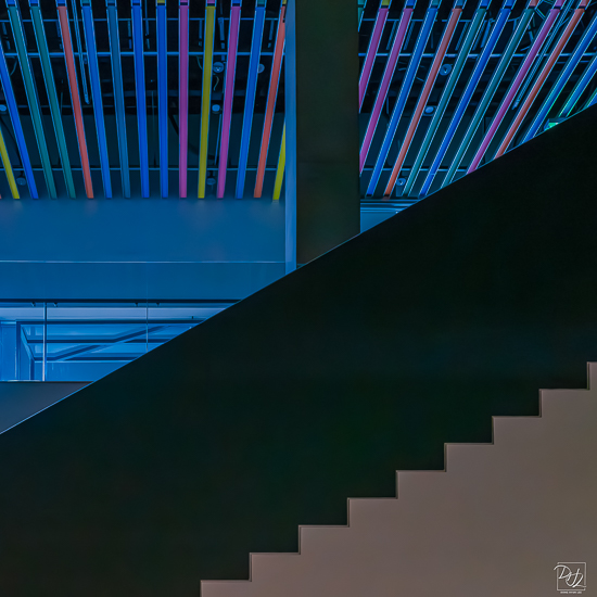 L1025732-향상됨-노이즈 감소-편집-편집-2.jpg