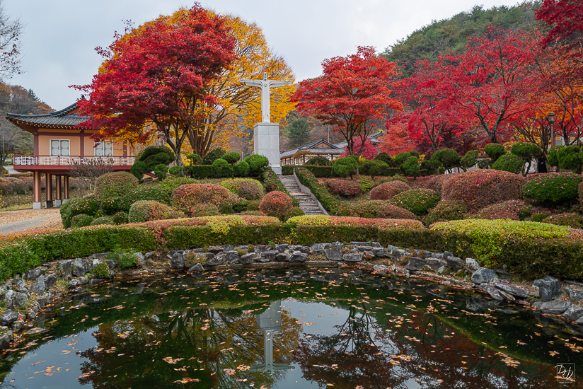 L1025368-향상됨-노이즈 감소-편집-2.jpg