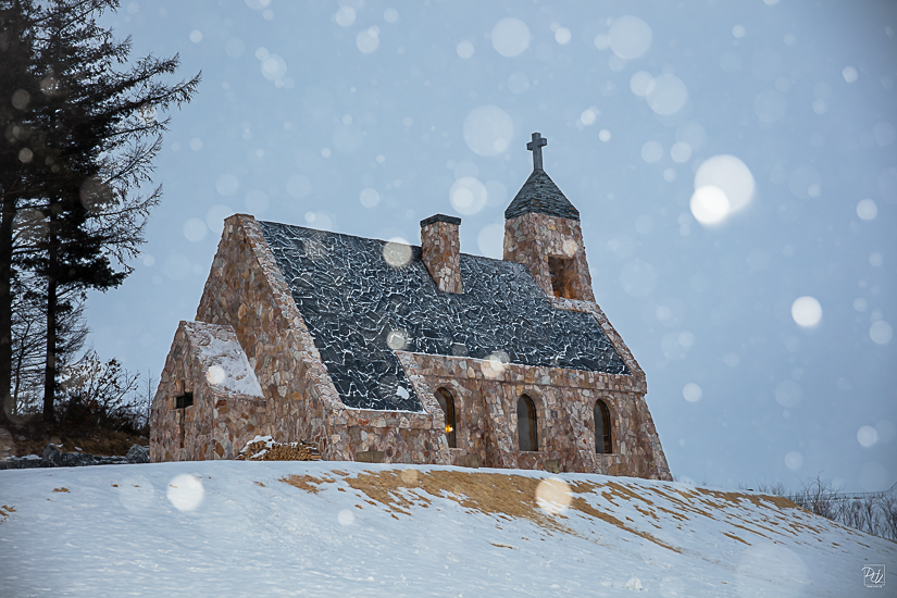 _I6A9118-향상됨-노이즈 감소-편집.jpg