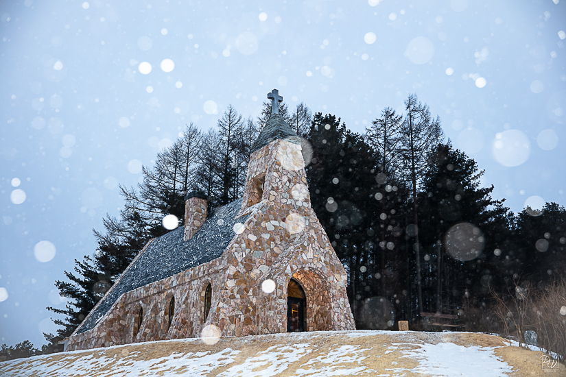 _I6A9119-향상됨-노이즈 감소-편집.jpg