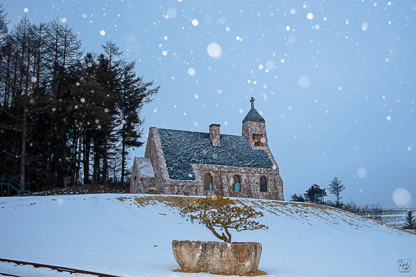 _I6A9129-향상됨-노이즈 감소-편집-편집.jpg