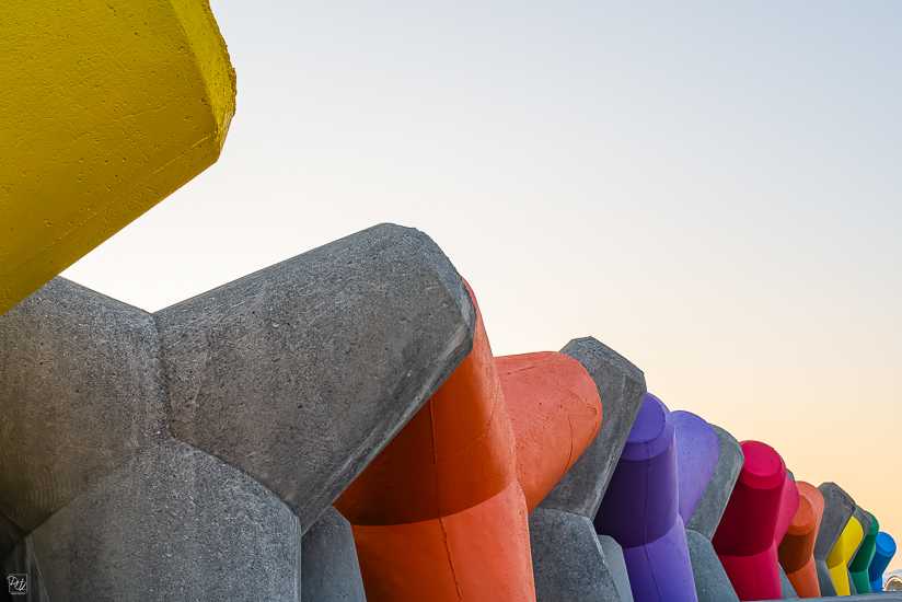 L1025879-향상됨-노이즈 감소-편집.jpg