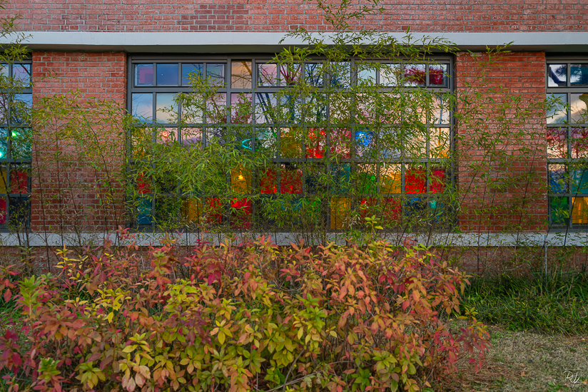 L1025734-향상됨-노이즈 감소-편집.jpg