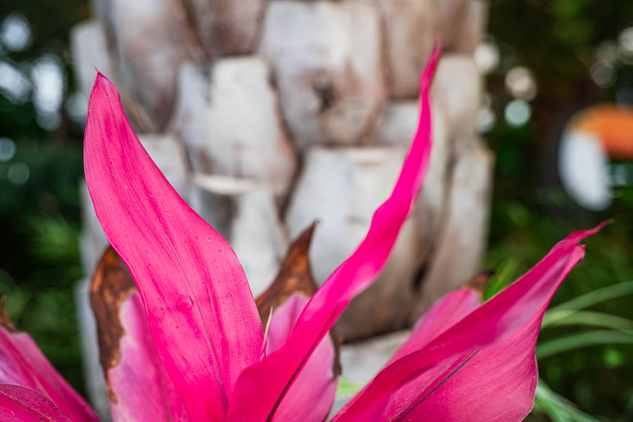 _DSC2128-향상됨-노이즈 감소-편집.jpg