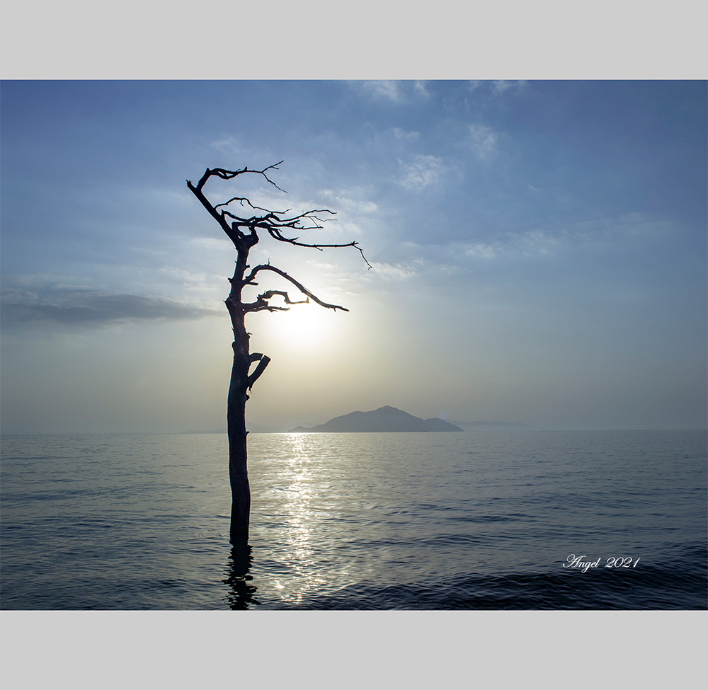 1.바다의 요정-1.png