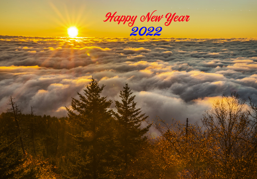 _DSC7366_0059 - Copy copy.jpg