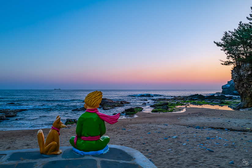 L1026201-향상됨-노이즈 감소-편집.jpg