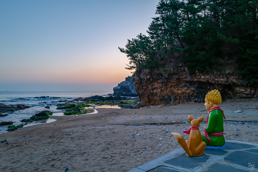 L1026198-향상됨-노이즈 감소-편집.jpg