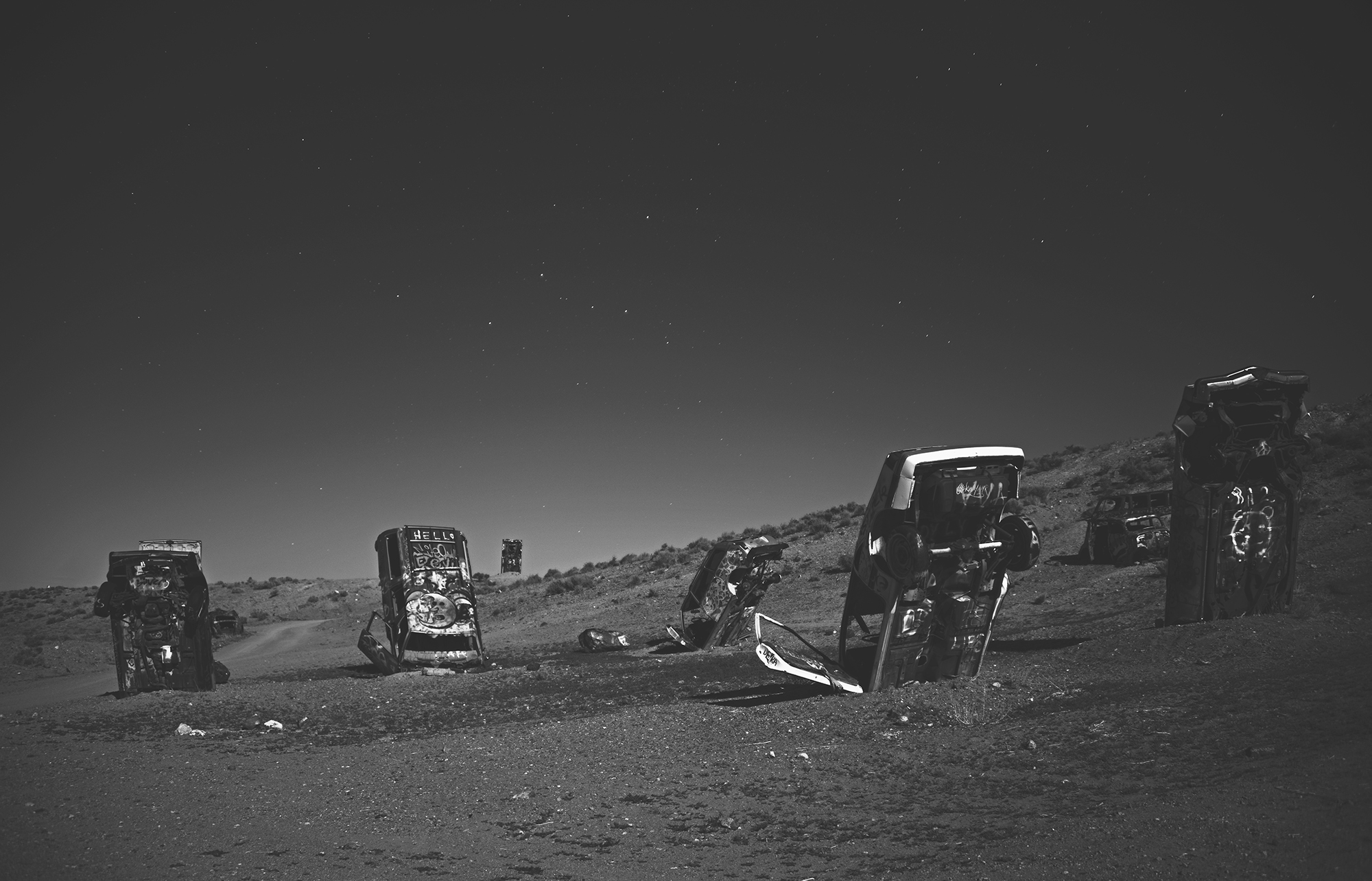 DSC_1113 PS Crop 2000px.jpg