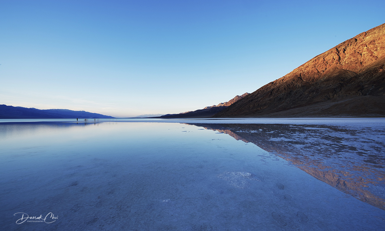 _DSC0699_PSMS16 PS1 Crop 1300px Bio Desat.jpg