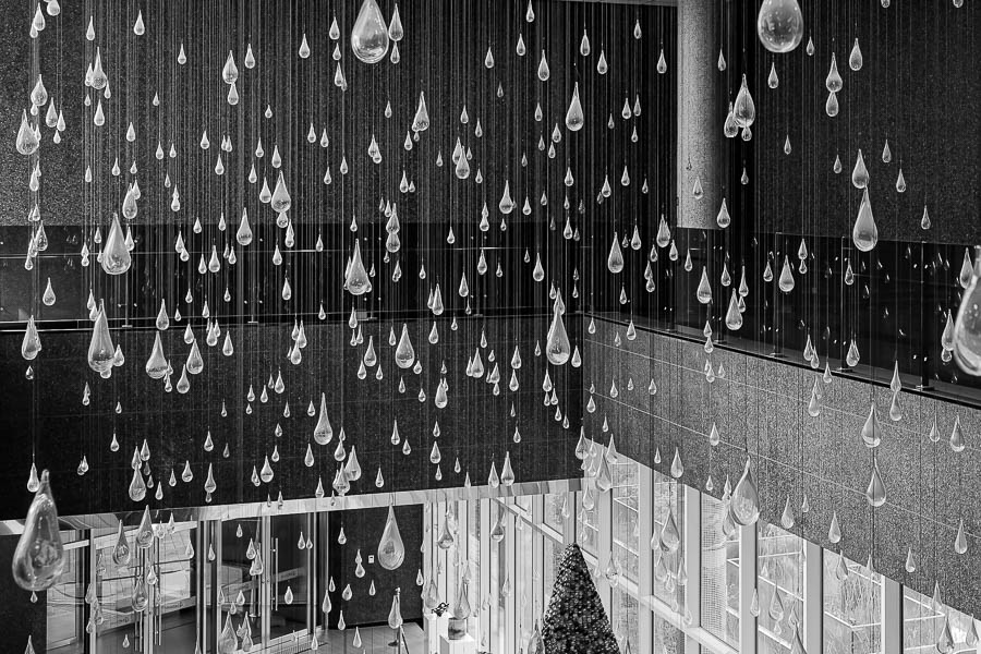 _DSC2332-향상됨-노이즈 감소-편집.jpg