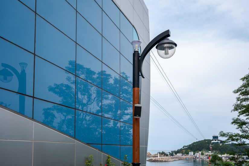 DSCF7841-향상됨-노이즈 감소-편집.jpg