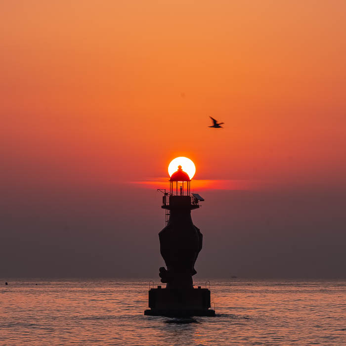 _DSC0587-향상됨-노이즈 감소-편집-2.jpg