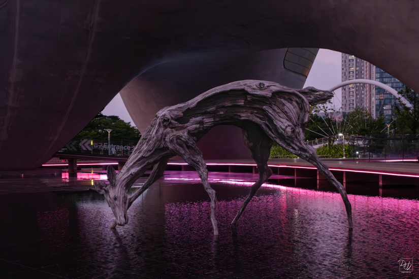 DSCF0299-향상됨-노이즈 감소-편집-2.jpg