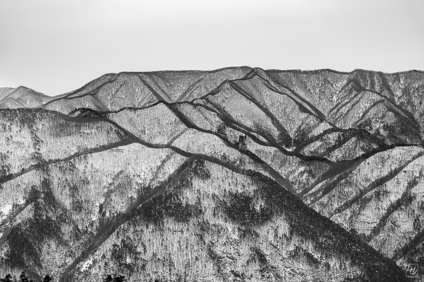 DSCF5610-향상됨-노이즈 감소-편집-편집-2.jpg