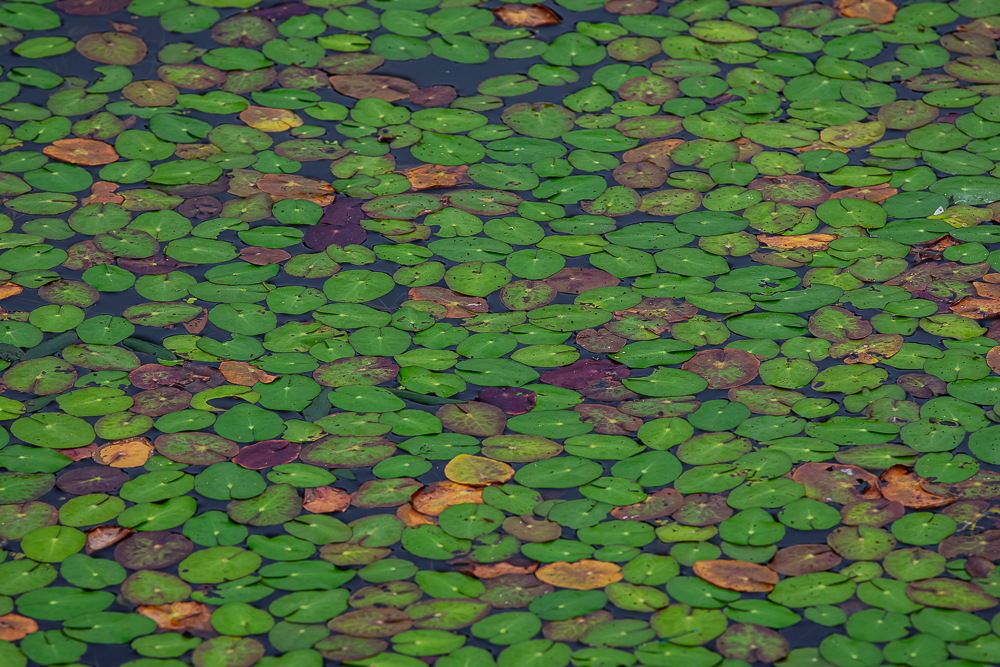 _I6A9684-향상됨-노이즈 감소-편집.jpg