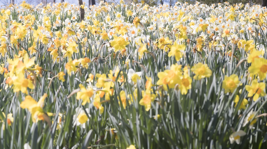 늦은 출사 14.jpg