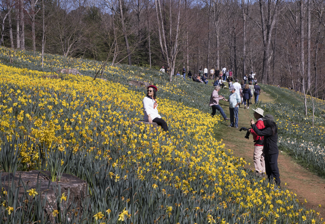 늦은 출사 18.jpg
