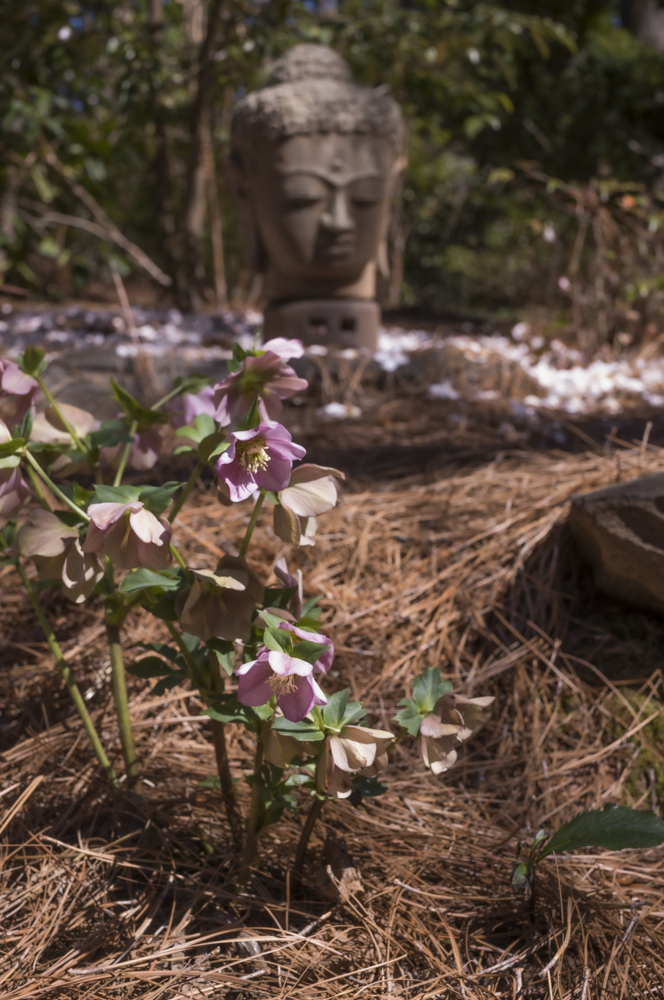 늦은 출사 22.jpg