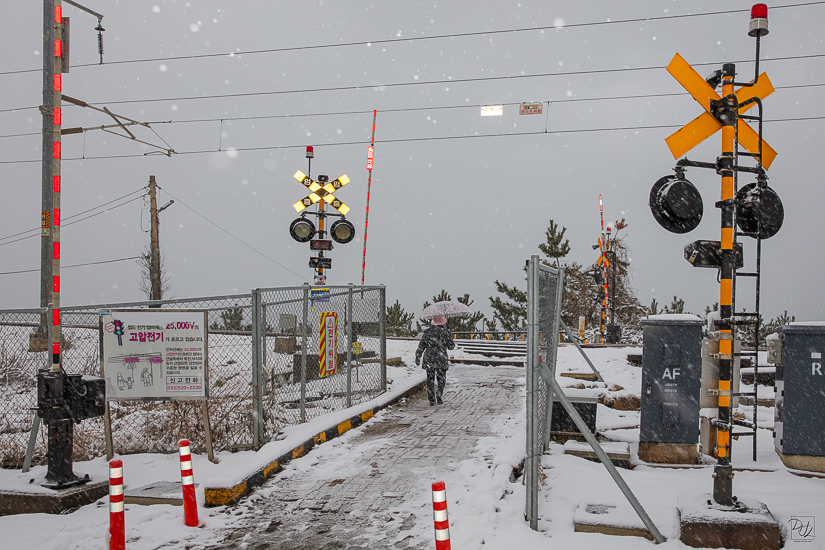 _I6A9226-향상됨-노이즈 감소-편집.jpg