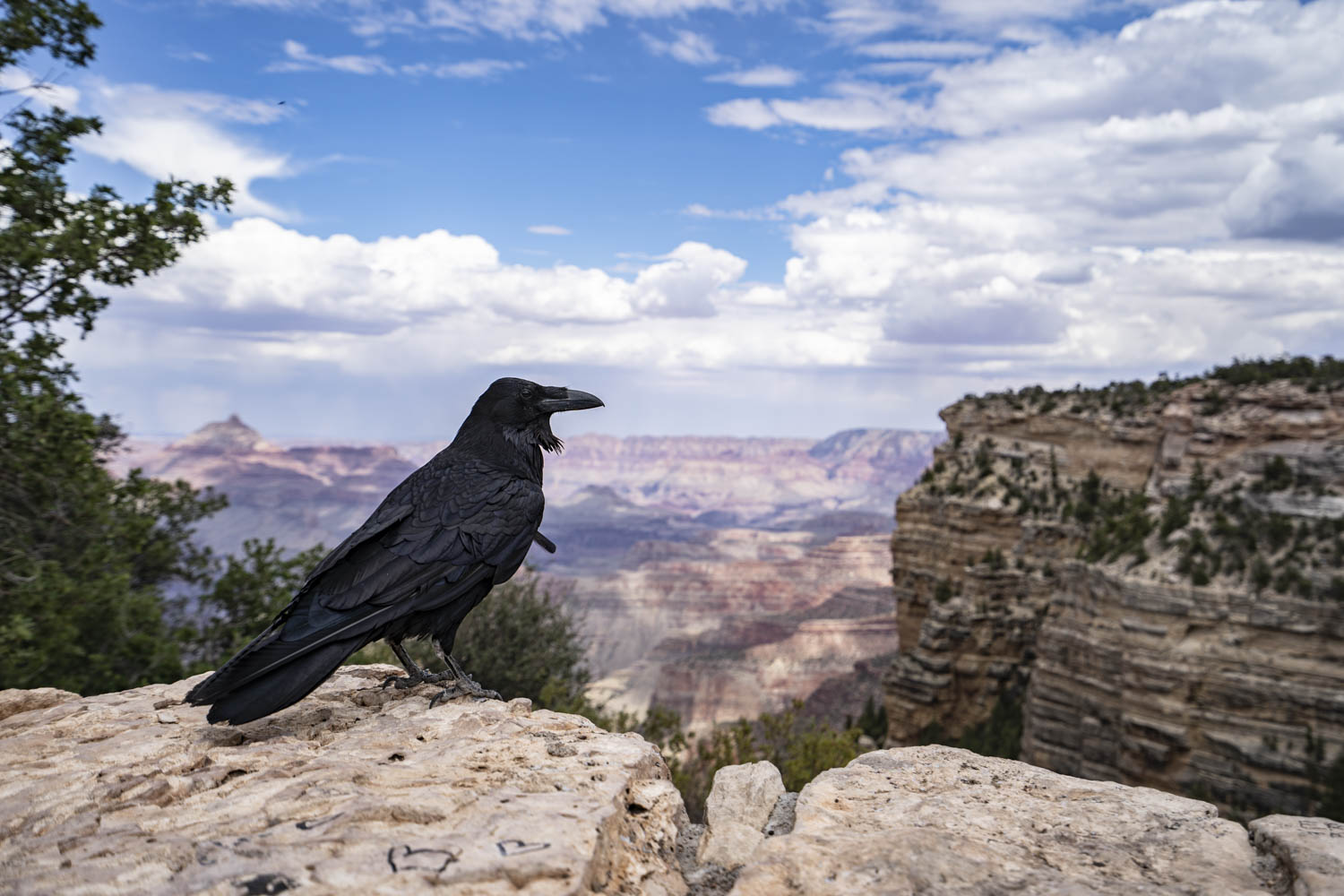 2022 vegas trip 21.jpg