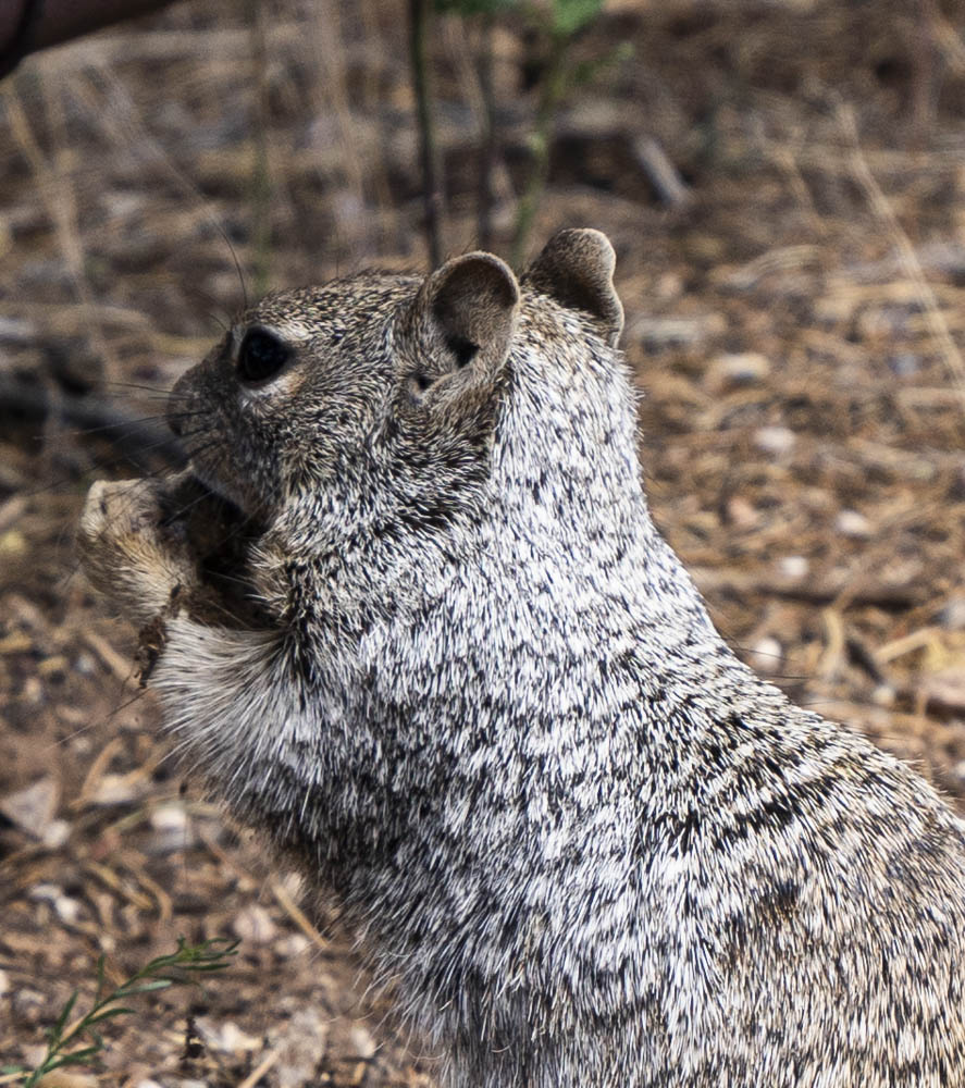 2022 vegas trip 11.jpg