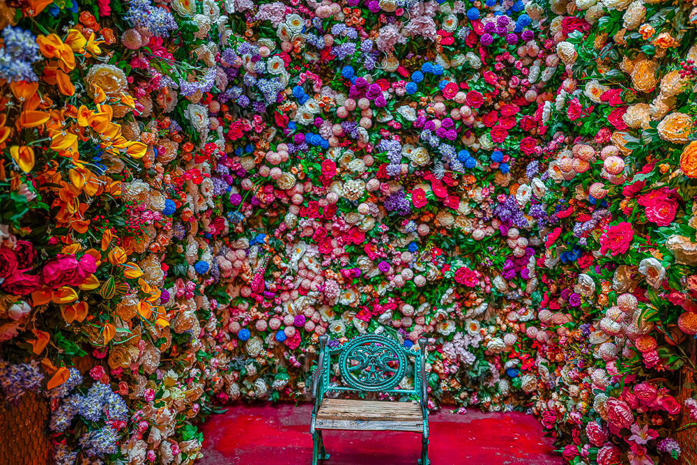 L1027967-향상됨-노이즈 감소-편집.jpg