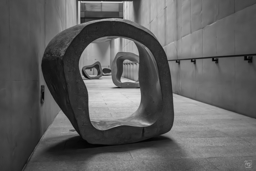 L1024547-향상됨-노이즈 감소-편집.jpg