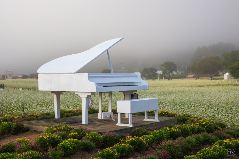 _I6A7984-향상됨-노이즈 감소-편집.jpg