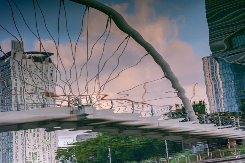 DSCF0372-향상됨-노이즈 감소-편집.jpg