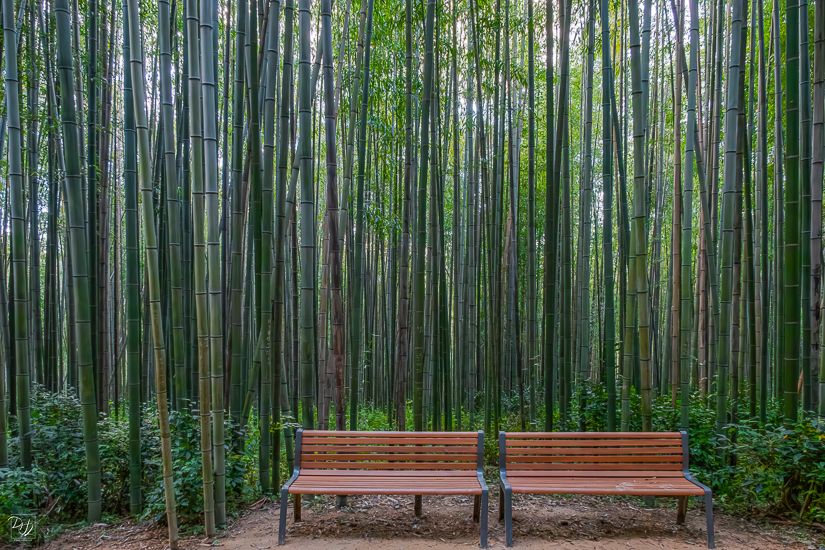 DSCF3396-향상됨-노이즈 감소-편집-2.jpg